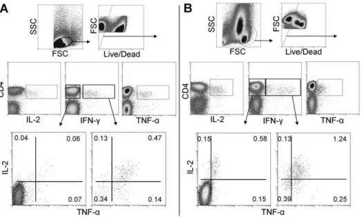 Figure 2A shows the frequency of the CD4 T cell subsets induced by the different culture schedules