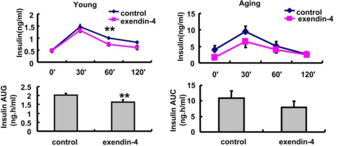Figure 2. Glucose stimulated insulin secretion in OGTT time points in A, 3 months and B, 20–22months old mice treated with PBS or exendin-4, n = 7 in each group of 3 months old mice, n = 9 in each group of aging mice