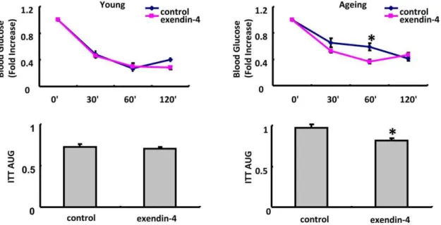 Table 1. Glucose, insulin and glucagon profile in young and aging mice treated with PBS or exendin-4.
