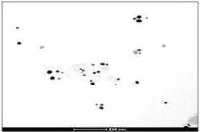 Figure  (4)  :  TEM  Image of F AuNPs. The image  shows  mostly  spherical  F AuNPs  as  well  as  presence  of  other  shapes  such  as  triangles,  pentagons and hexagons