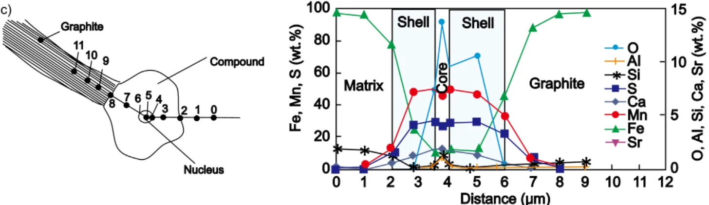 Fig. 6: Typical example of a three stage model for nucleation of graphite in grey iron Due to their relatively high concentration in the iron melt, 