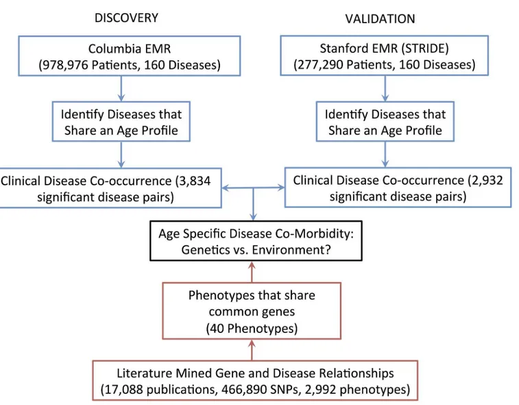 Fig 1. The overall information flow. Clinical data on disease co-occurrence from the Columbia and Stanford EMRs were compared to the literature-mined gene and disease relationships in the VARIMED database.