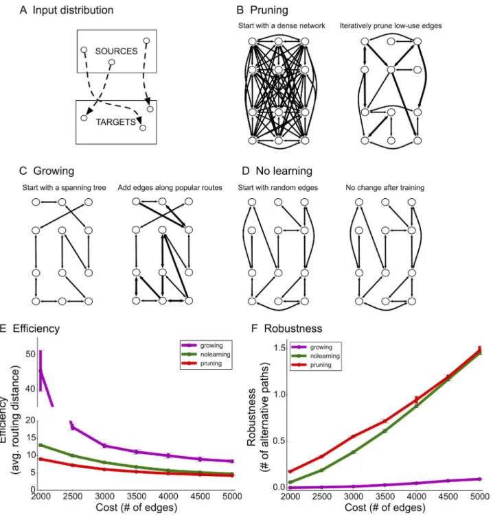 Fig 3. Computational network model and comparison between pruning and growing. (A) Example distribution (2-patch) for source-target pairs