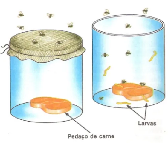 Fig 1. Experimento de Redi. Fonte: Lopes (1996, p. 33).