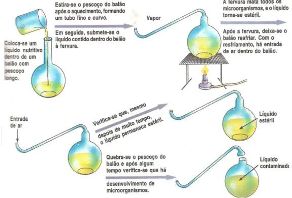 Fig. 2. Experimento de Pasteur. Fonte: Lopes (1996, p. 35).