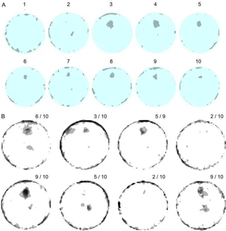 Figure 7. Knot locations in open field arena across sessions. A. Dark patches represent places with high path curvatures (knots and u-turns) established by a selected mouse across 10 successive sessions