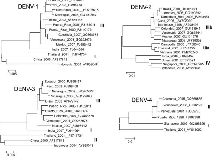 Figure 1. Maximum likelihood phylogeny of contemporary DENV strains. Representative DENV strains from currently circulating genotypes considered for primer and probe modifications