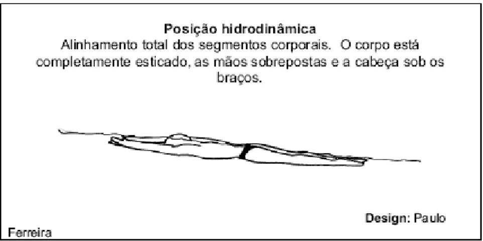 Figura 1 - Posição hidrodinâmica. 