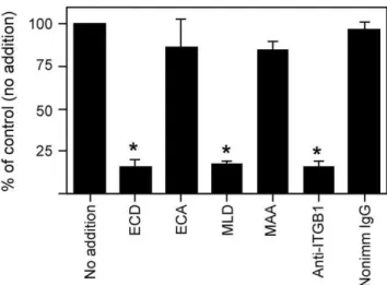 Figure 1. ADAM2 binding to eggs. Eggs were left untreated (no addition), or treated with the indicated peptide (100 mM; ECD peptide, corresponding to the ADAM2 disintegrin loop; its negative control ECA;