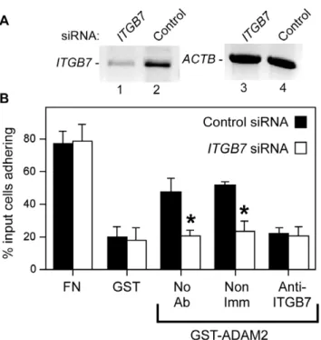Figure 6. Heterodimer combinations of a/ITGA and b/ITGB subunits. Diagram is adapted from [1]