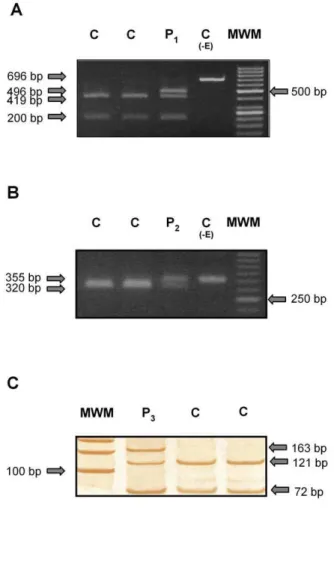 Figure 1. Representative electropherograms (left panel) and restriction enzyme assays (right panel) of the five novel mutations found
