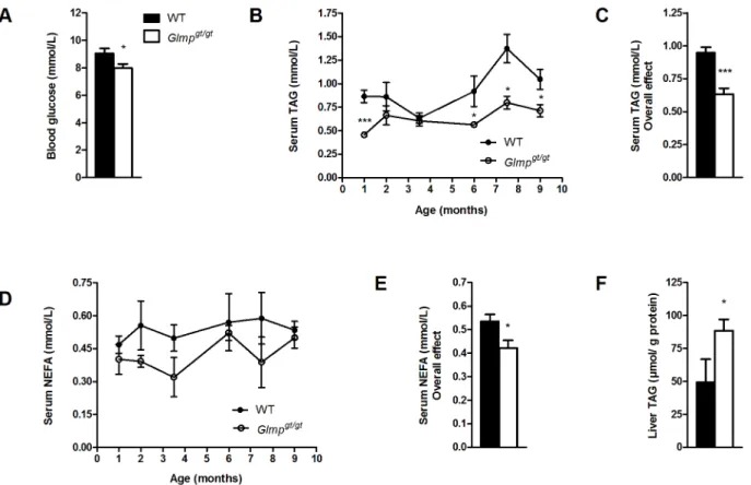 Fig 3. Glmp gt/gt mice have reduced blood glucose and circulating lipids, but increased liver triacylglycerol accumulation