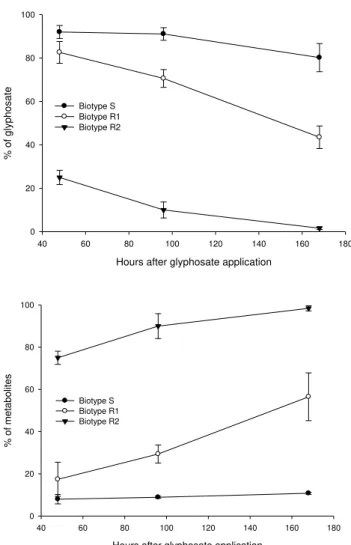 Figure  3.  Relative  percentage  of  glyphosate  (up)  and  its  metabolites  (down)  –  AMPA  +  sarcosine  +  formaldehyde  –  in  susceptible  (S)  and  resistant  (R1  and  R2)  sourgrass  (Digitaria  insularis)  biotypes  at  different times after tr