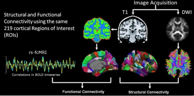 Figure 1. Overview of processing pipeline for each subject. Region Selection: T1-weighted image segmentation and parcellation resulted in a white matter mask for further diffusion data processing, as well as 219 cortical regions of interest (ROIs) covering