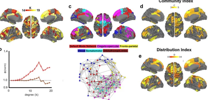 Figure 3. Rich club phenomena in structural group network of adults. (a) Regions comprising the structural rich club are displayed on an average brain surface
