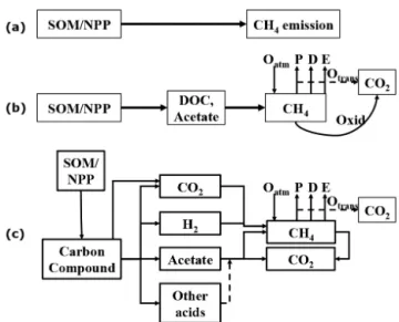 Figure 4. Three types of models with key mechanisms for CH 4 pro- pro-duction and oxidation (SOM: soil organic matter; NPP: net primary production; DOC: dissolved organic carbon; O atm : oxidation of  at-mospheric CH 4 ; P : plant-mediated transport; D: di