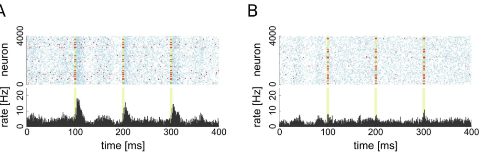 Fig 5. Raster plots of excitatory population activity during stimulation. A: Stimulation of 20 driver cells