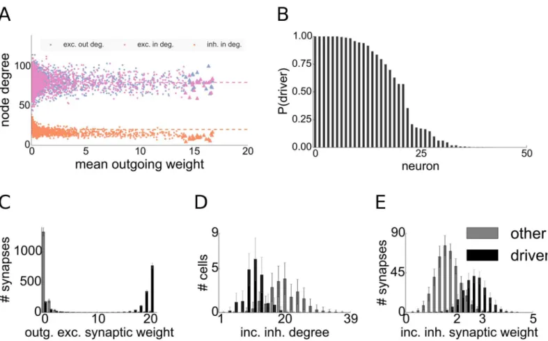 Fig 7. Statistics and connectivity of driver cells. A: Scatter plot of the mean outgoing synaptic weight after synaptic plasticity versus node degrees of excitatory cells for one network realization