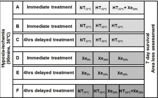 Figure 1. Experimental design for different treatment strategies.
