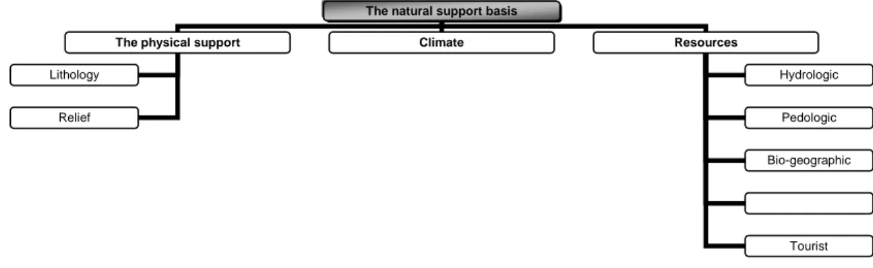 Fig. 2. The main elements of the support basis analysed in the territorial survey.  