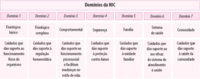 Figura 7.5 Domínios da NIC.