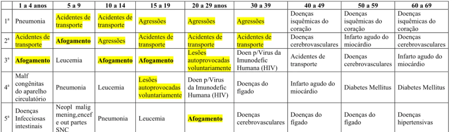Tabela 1 – Dados tabulados com base no Sistema de Informação em Mortalidade (SIM) – ano 2007, Ministério da  Saúde - DATASUS - 2010