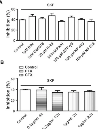 Figs 6B and C). Previous study has been shown that DTG effect (via activation of the sigma-1 receptor) could be blocked by BD 1063 [28]