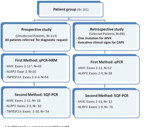 Figure 1. Flow chart for the screening of mutations in the genes MVK , NLRP3 and TNFRSF1A 