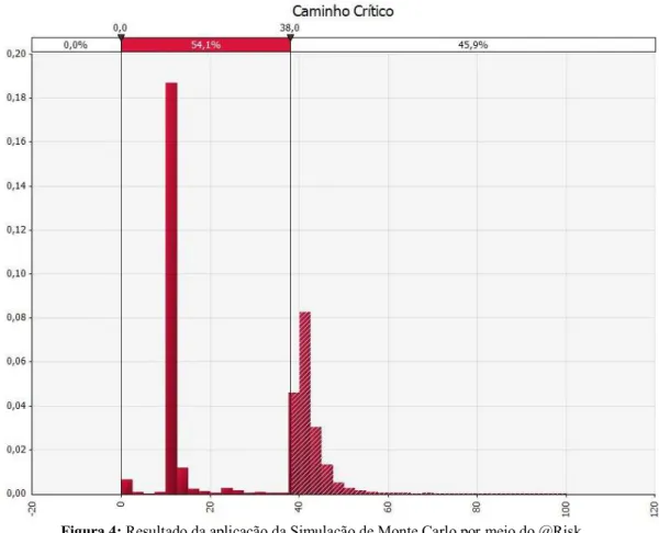 Figura 4: Resultado da aplicação da Simulação de Monte Carlo por meio do @Risk. 