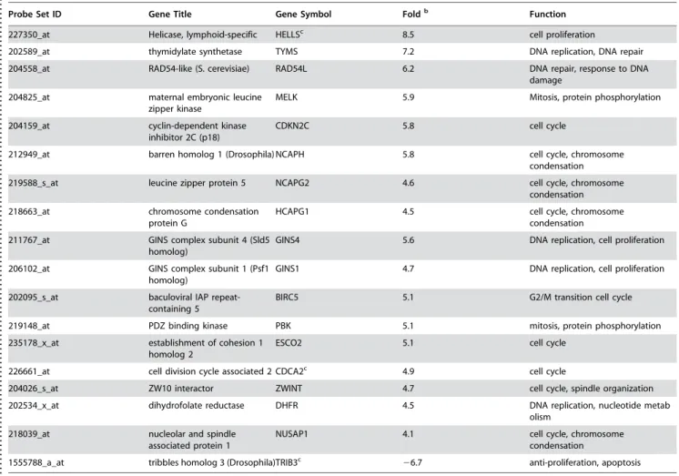 Table 1. Genes with altered expression in aggressive melanoma cells are involved in cell cycle control, cell proliferation, DNA repair and replication a .