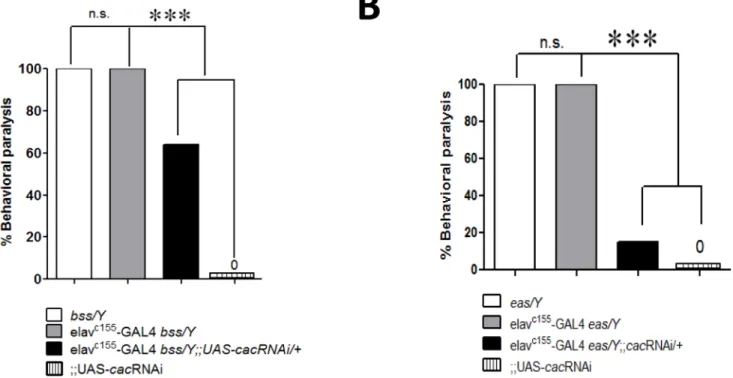 Fig 4. Suppression of para bss1 and eas behavioral phenotypes by cacRNAi at room temperature