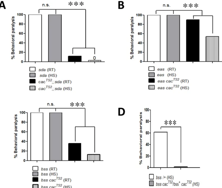 Fig 2. Suppression of bang sensitive behavioral phenotypes by cac TS2 . A. Behavioral paralysis in sda hemizygotes (white bar) is suppressed in hemizygous double mutants cac TS2 /Y;;sda at room temperature (RT) by about a factor of 10 (black bar; n = 147)