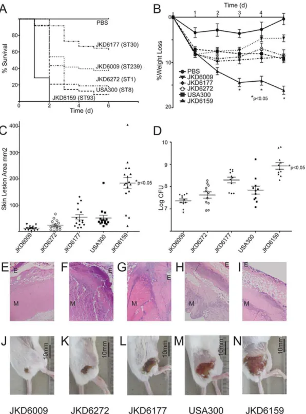 Figure 2. Virulence characteristics of S. aureus isolates. S. aureus JKD6159 (ST93-IV [2B], CA-MRSA) compared to four other MRSA strains