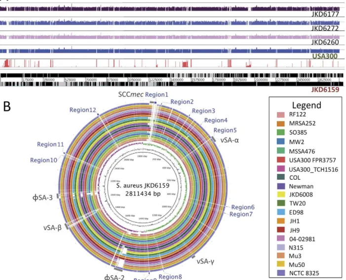 Figure 3. Whole genome sequence analysis and comparison of JKD6159 with other S. aureus strains