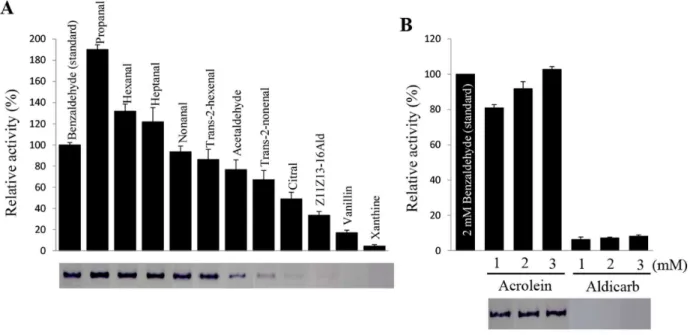 Figure 10. Oxidation of various substrates by AtraAOX2. (A) The oxidation of 2 mM substrates by AtraAOX2 (1 mg) was determined at 30uC and quenched with 10% acetic acid
