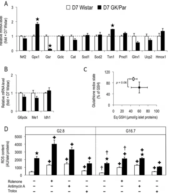 Figure 9. Antioxidant defense status tended to be lower in prediabetic GK/Par rat islets and was associated with enhanced reactive oxygen (ROS) production