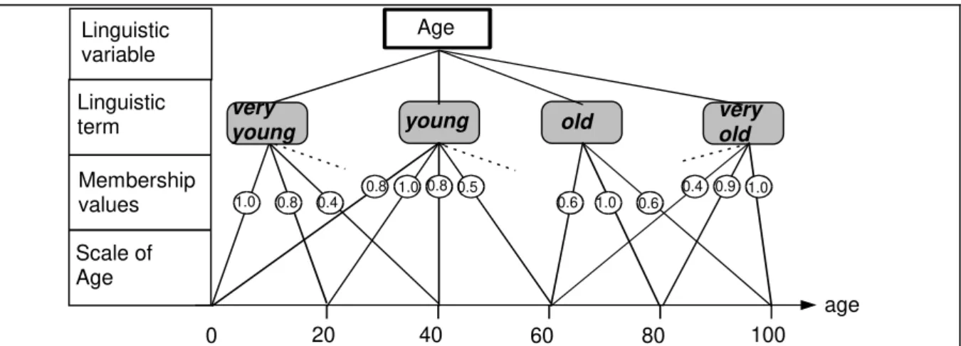 Figure A.1-2: Description of the linguistic variable &#34;Age&#34; by linguistic terms and their hierarchy on the time scale (age in years)