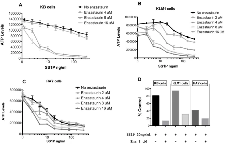 Figure 2. Cytotoxic activity of SS1P in combination with enzastaurin on KB, KLM1 and HAY cells
