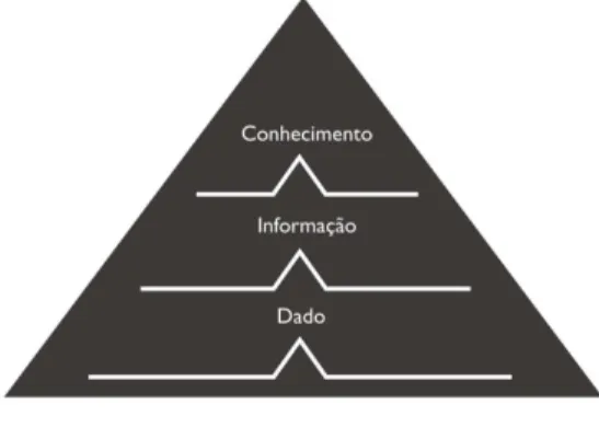 Figura 4 - Hierarquia do Conhecimento  Fonte: Adaptado de Anantatmula (2004) 