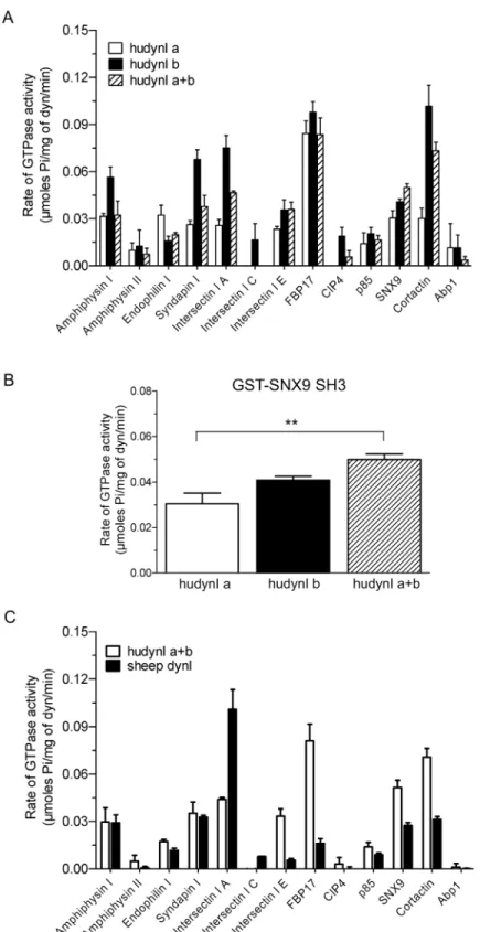 Fig 4. Comparison of the ability of 13 GST-SH3 domains to stimulate the rate of a mix of middle domain splice variants