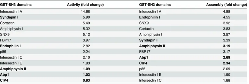Table 1. Rank order analysis of the stimulation of sheep dynamin I activity (Fig 1B) and assembly (Fig 1C) by 13 GST-SH3 domains.