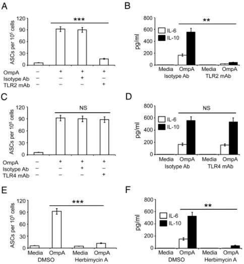 Figure 5. Involvement of TLR2 and protein tyrosine kinase in the OmpA-induced B cell differentiation and cytokine secretion