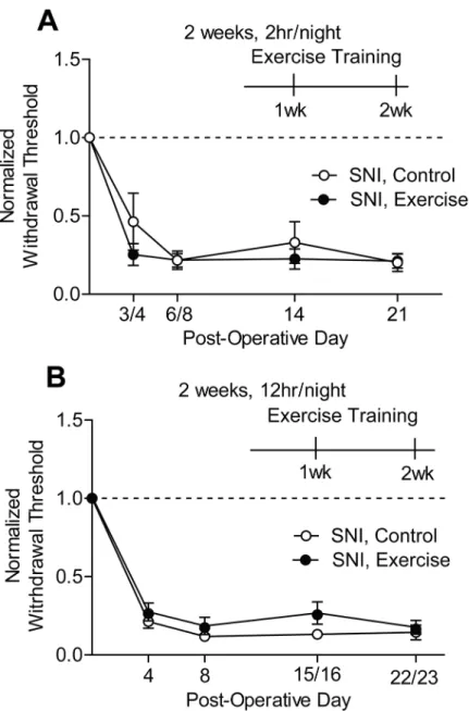 Fig 4. Exercise training did not improve SNI-induced mechanical hypersensitivity. (A, B) SNI gave rise to a significant reduction in mechanical withdrawal thresholds of the ipsilateral hindpaw in both SNI, control and SNI, exercise groups on POD 3/4 and 6/
