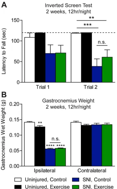 Fig 5. Exercise training did not reduce nerve injury-induced muscle wasting. (A) The inverted screen test of muscle strength was performed on mice 3 weeks (POD 21/22) after injury with a cut off latency of 120 sec (dotted line)