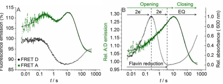 Figure 3. The observed rate of conformational change and flavin reduction in CPR are the same
