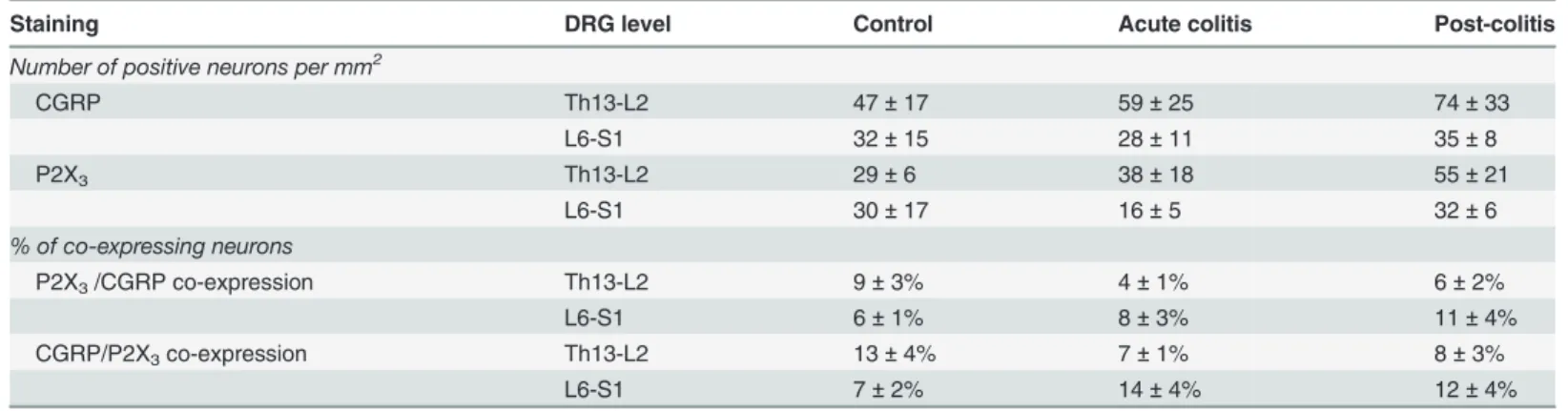 Table 4. Protein expression of CGRP and P2X 3 in the dorsal root ganglia.