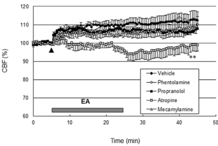 Figure 4. EA increased acetylcholine production and muscarinic acetylcholine receptor expression in the cerebral cortex