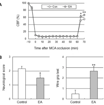 Figure 7. EA improved cerebral perfusion, the neurological function and motor function in moderate ischemic injury