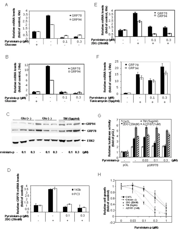 Figure 3. Pyrvinium suppresses GRP78 and GRP94 expression. Panel 3A, 3B, 3D 3E and 3F: Quantitative real-time RT-PCR analysis
