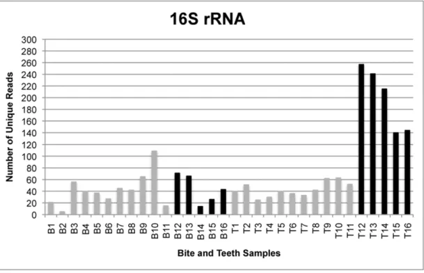 Figure 2. The number of unique reads for single- and multi-locus sequencing of ITS. Comparison of the number of unique ITS reads generated from samples in which amplicons from four loci were pooled (gray) and those submitted for sequencing singly (black)